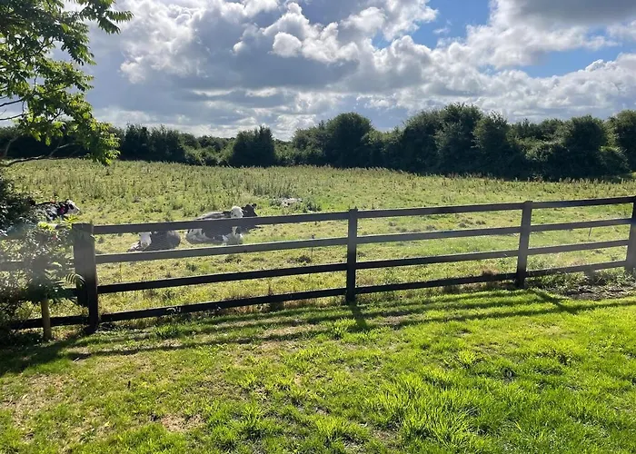 Hébergement de vacances Beautiful Side